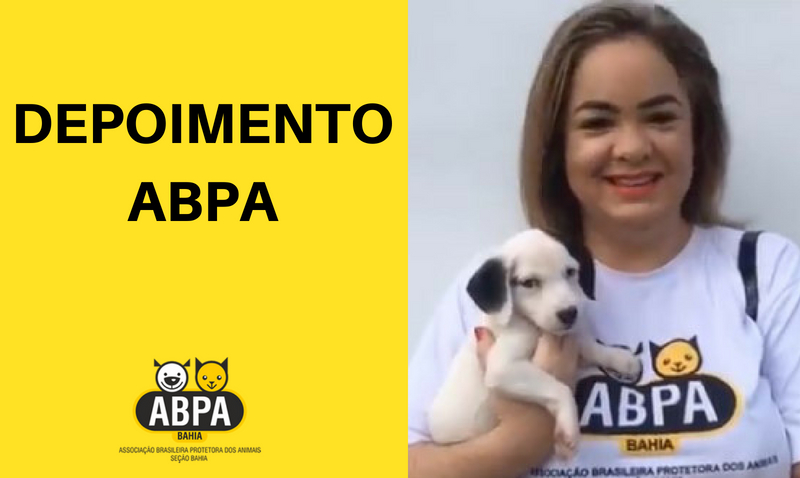 ABPA Bahia reconhece a importância da Saiteria, como empresa que apoia a causa dos animais ABPA Bahia reconhece a importância da Saiteria, como empresa que apoia a causa dos animais