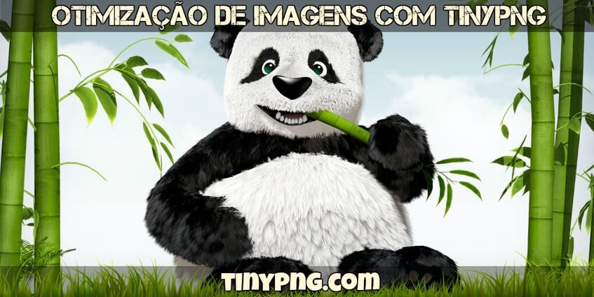 Como fazer otimização de imagem com o TinyPNG? Como fazer otimização de imagem com o TinyPNG?