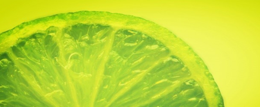 O e-commerce é a Limonada da Crise! O e-commerce é a Limonada da Crise!